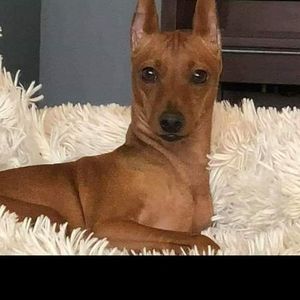 Meet your Posher, Cheryl